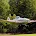 Attorney Dorcas J. Gordon, Newfound Law, PLLC