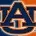 Birmingham Men's Law Firm, LLC: Gregory C. Starkey