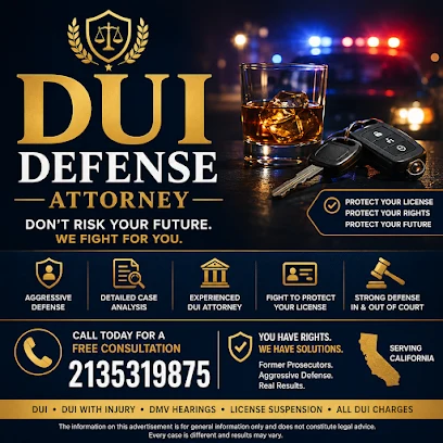 Criminal Defense Attorney