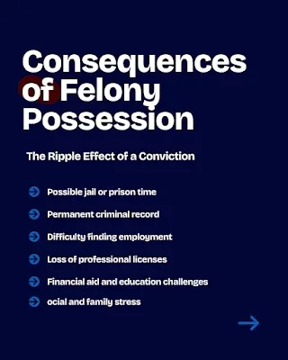 Future First Criminal Law