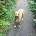 Gunn & Gunn P.C, Salem Attorneys