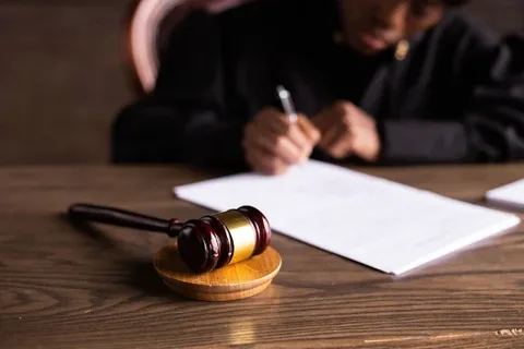 Karin Riley Porter Criminal Defense Attorney