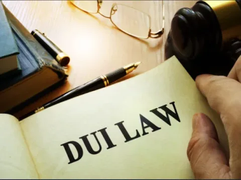 Suzuki Law Offices